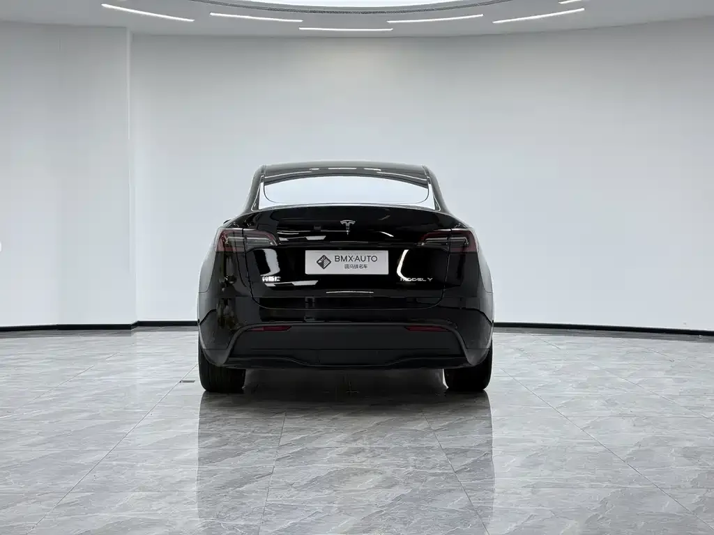 Tesla Model Y 2023 из CN, фото 2