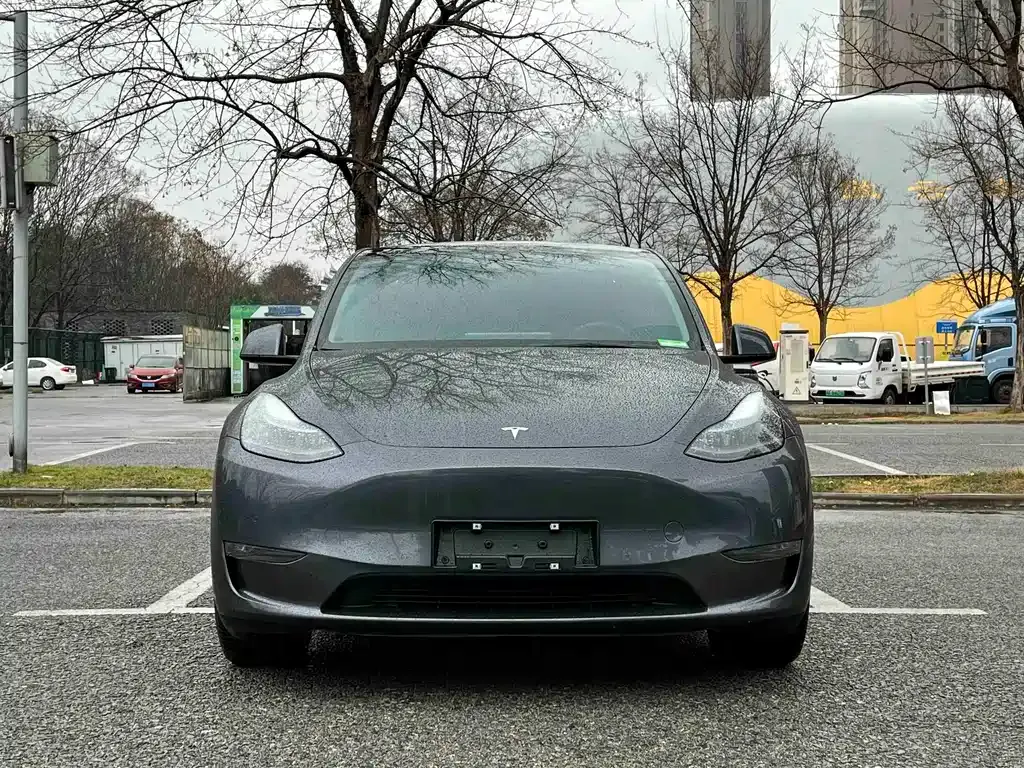 Tesla Model Y 2022 из CN, фото 4