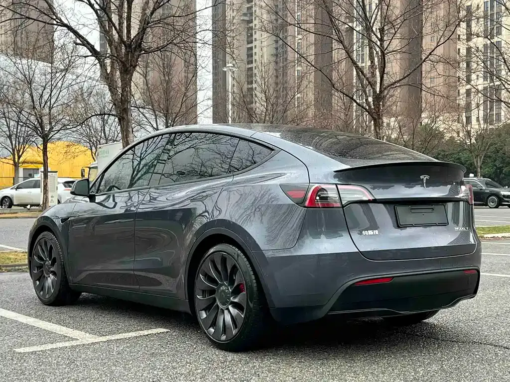 Tesla Model Y 2022 из CN, фото 6