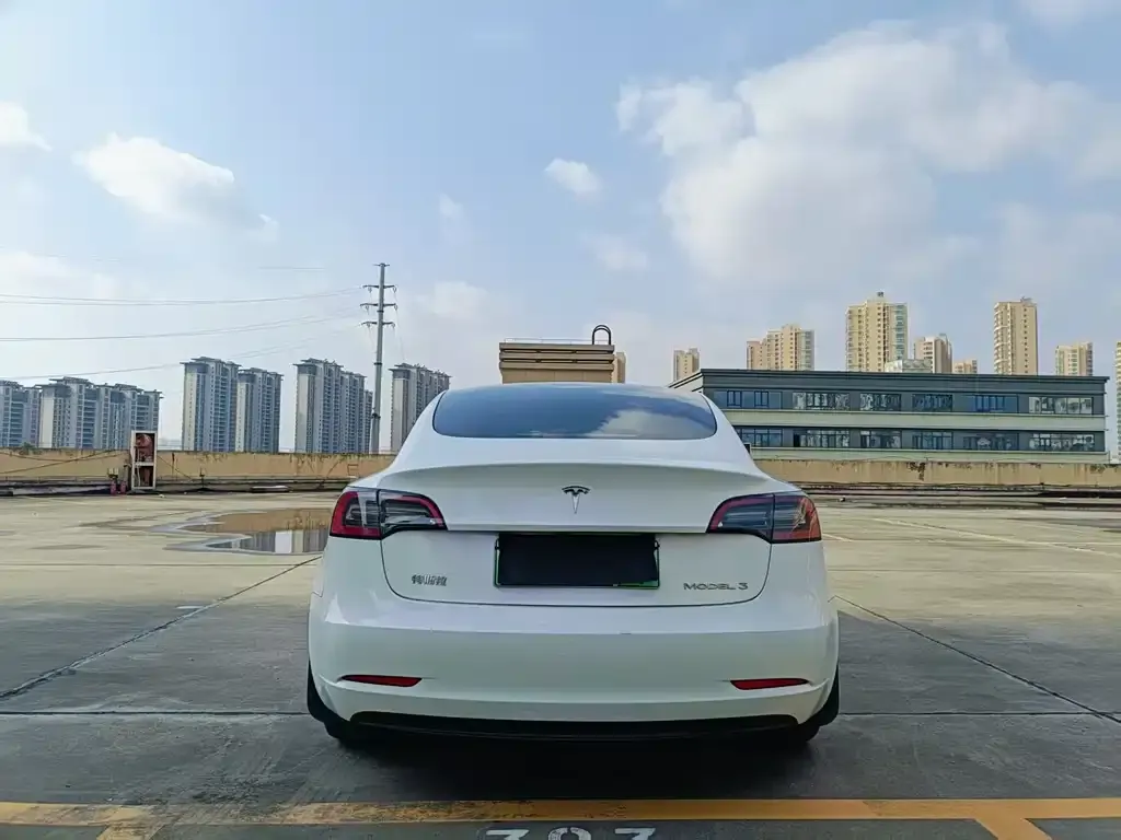 Tesla Model 3 2023 из CN, фото 8