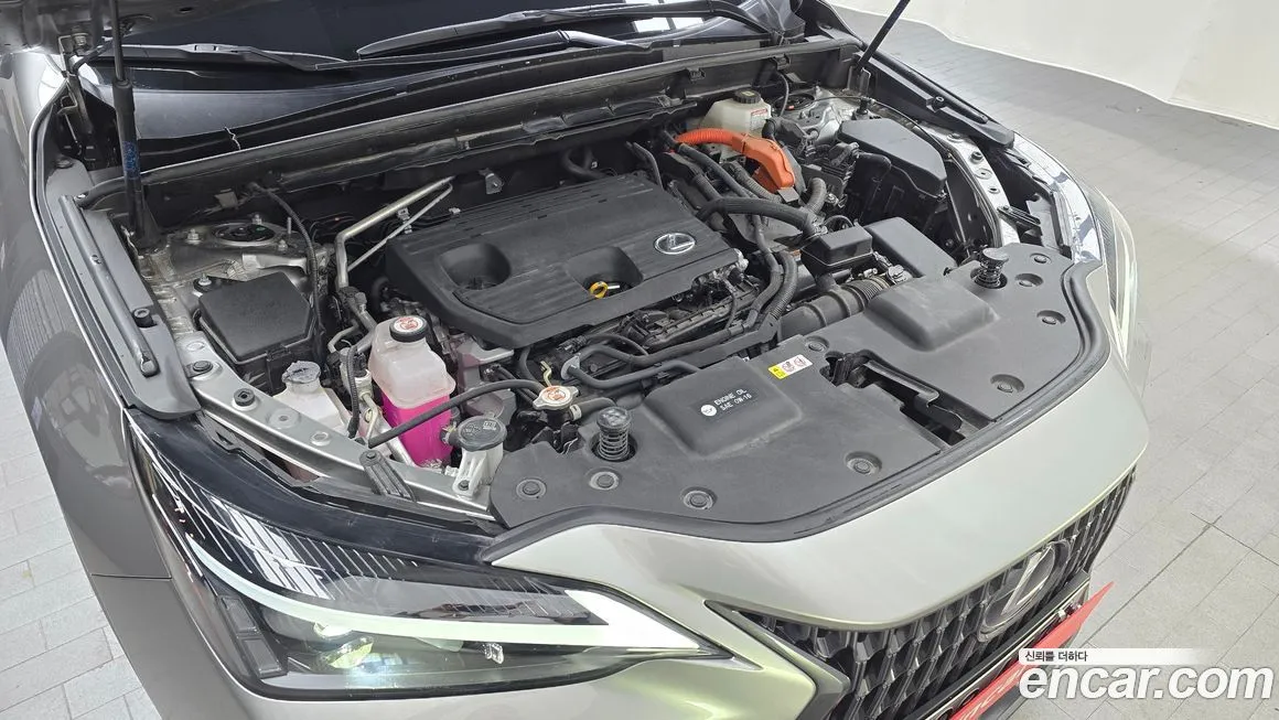 Lexus NX 2023 из KR, фото 9