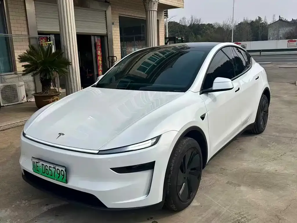 Tesla Model Y 2025 из CN, фото 1