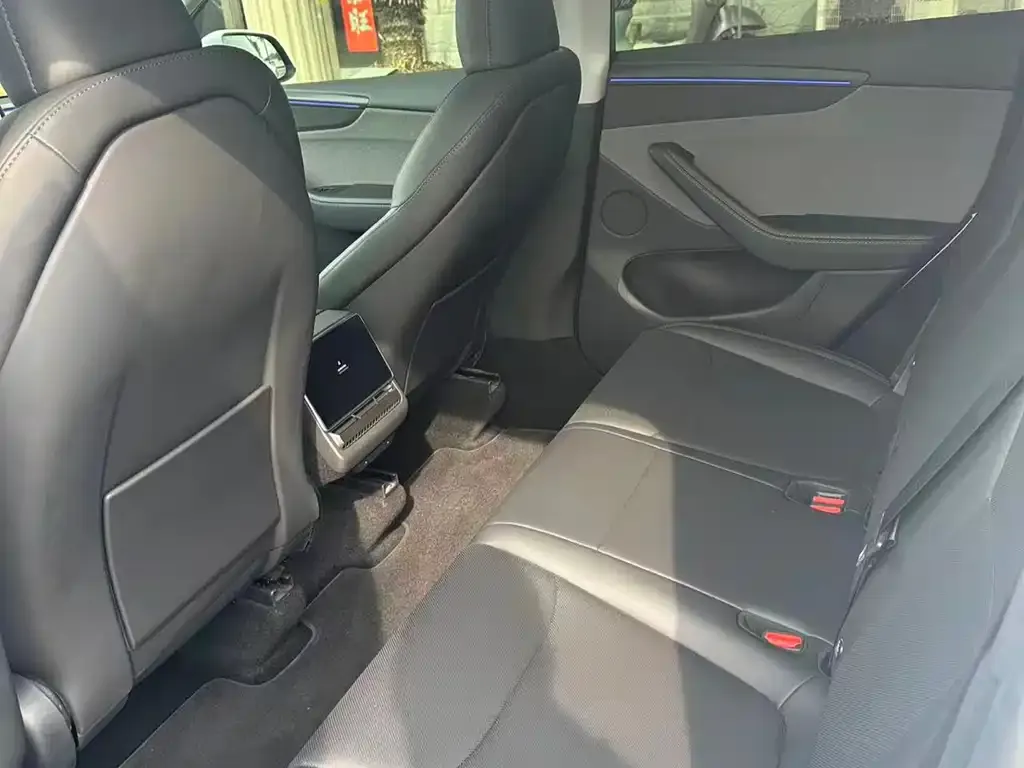 Tesla Model Y 2025 из CN, фото 3