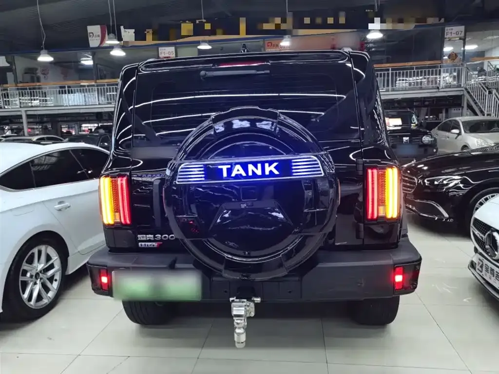 Tank 300 New Energy 2025 из CN, фото 5