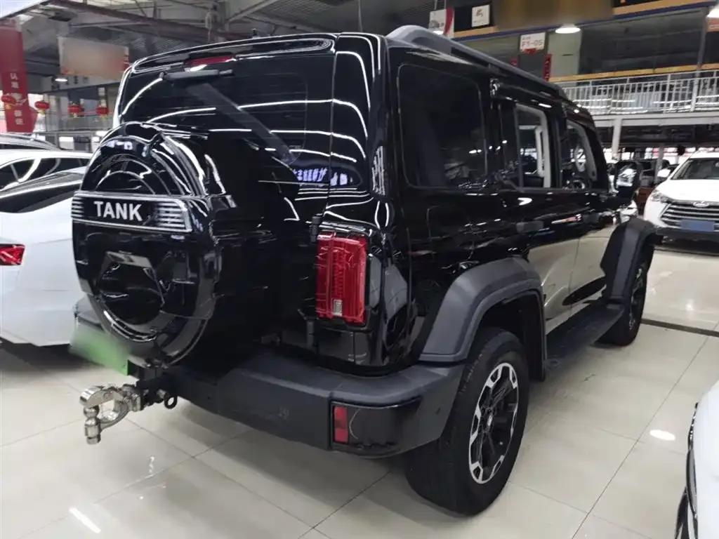 Tank 300 New Energy 2025 из CN, фото 10