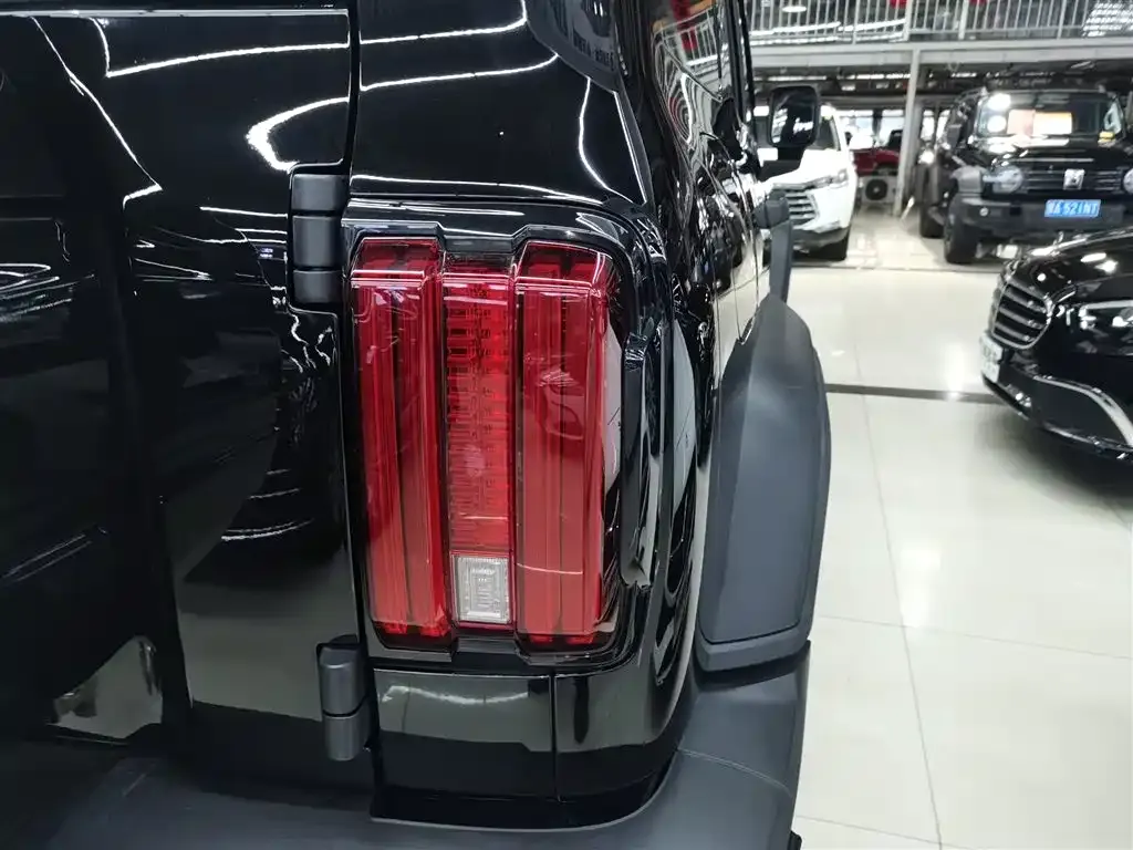 Tank 300 New Energy 2025 из CN, фото 6