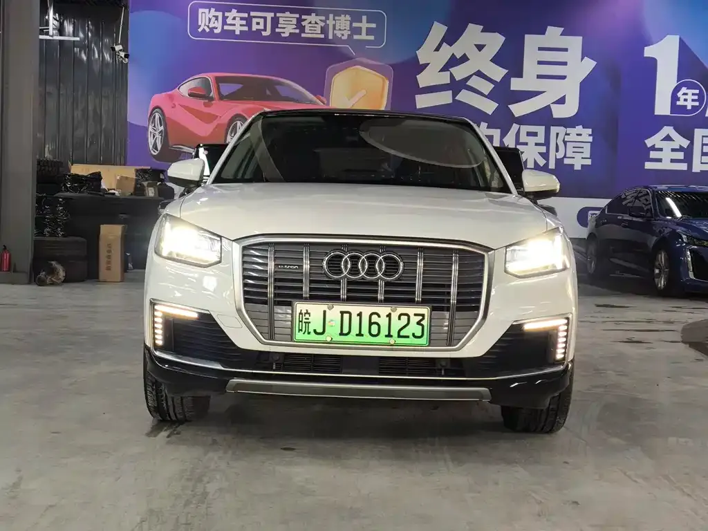 Audi Q2L e-tron 2021 из CN, фото 5
