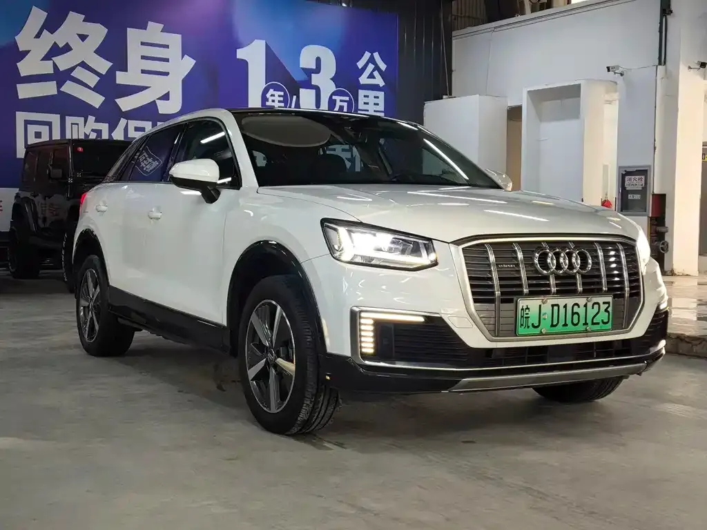 Audi Q2L e-tron 2021 из CN, фото 4