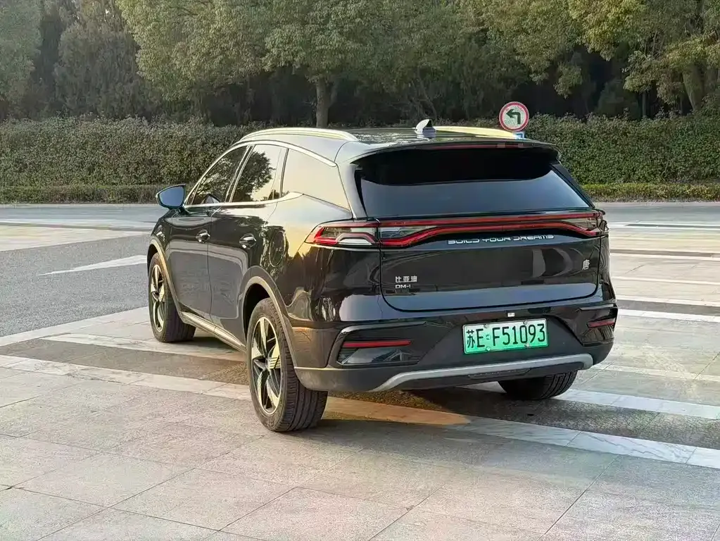 BYD Tang New Energy 2023 из CN, фото 6