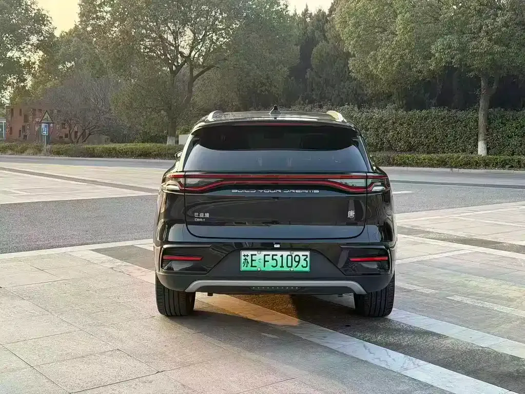 BYD Tang New Energy 2023 из CN, фото 10
