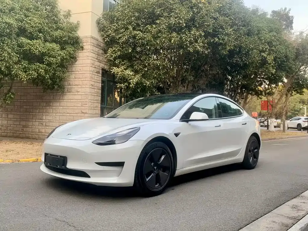 Tesla Model 3 2021 из CN, фото 1