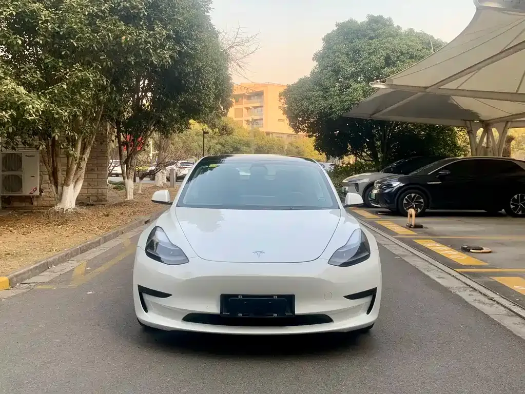 Tesla Model 3 2021 из CN, фото 5