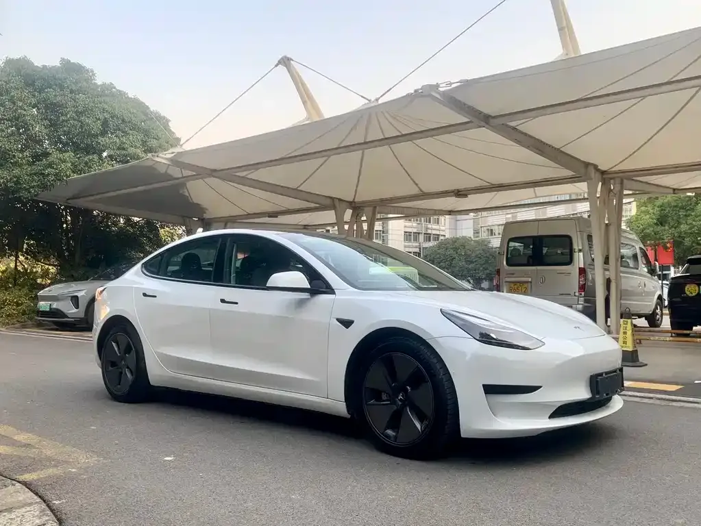 Tesla Model 3 2021 из CN, фото 7