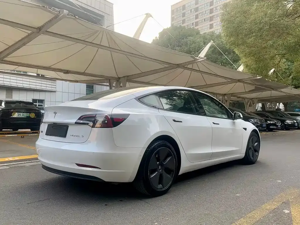 Tesla Model 3 2021 из CN, фото 6