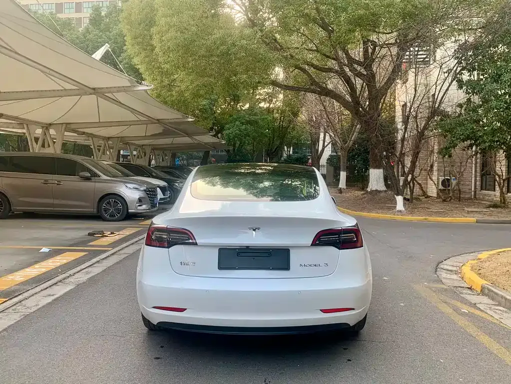 Tesla Model 3 2021 из CN, фото 8