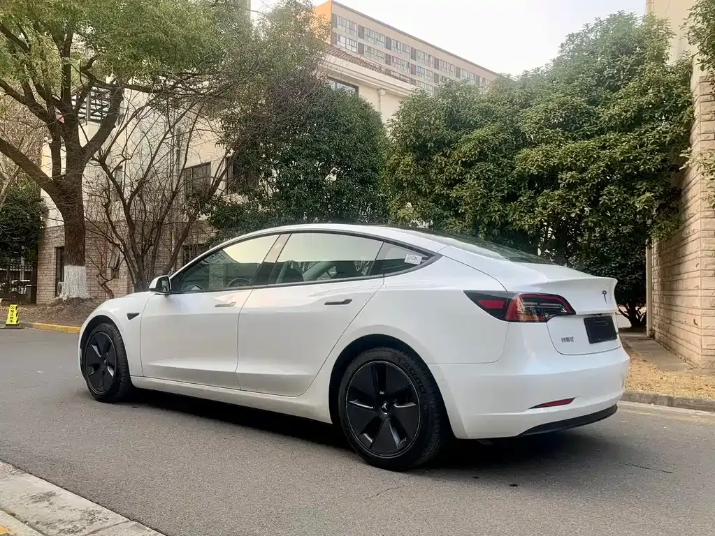 Tesla Model 3 2021 из CN, фото 3