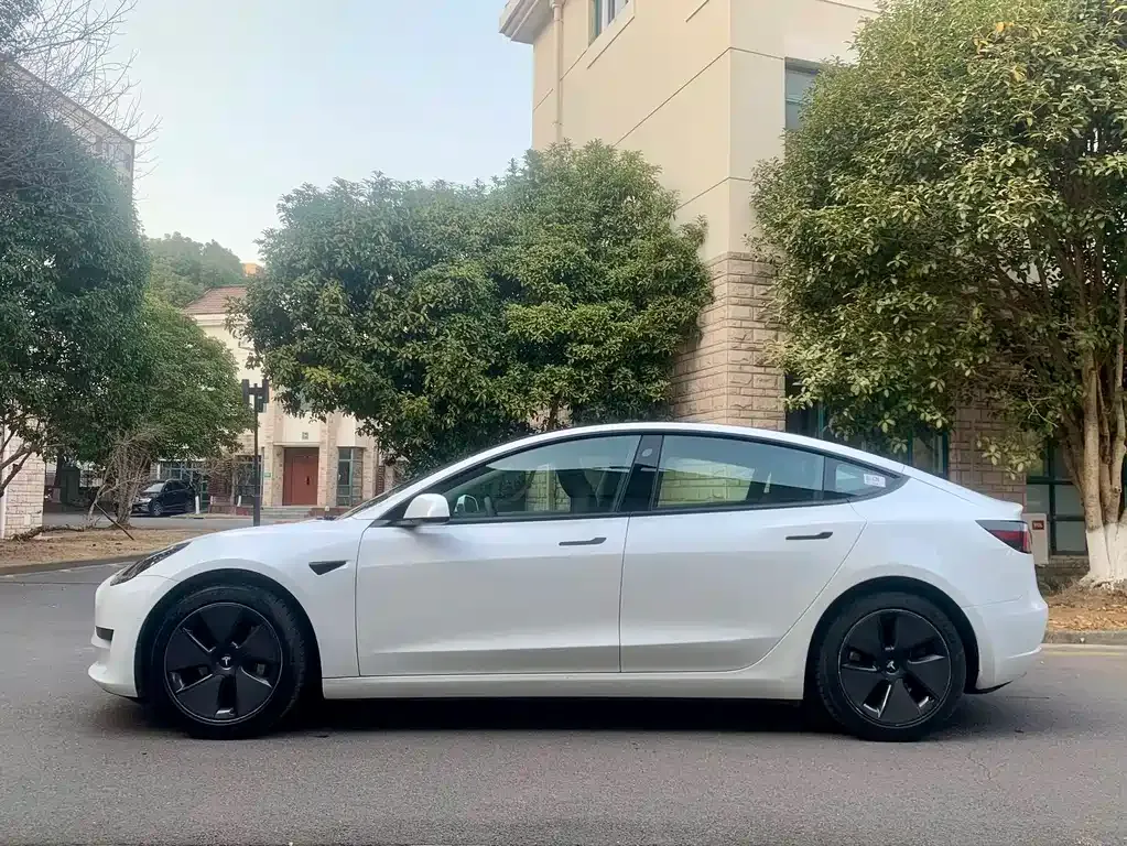 Tesla Model 3 2021 из CN, фото 4