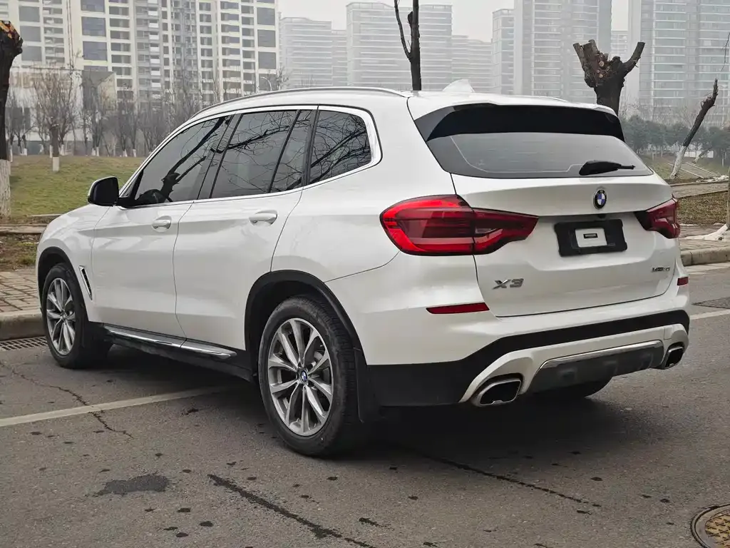 BMW X3 2021 из CN, фото 9
