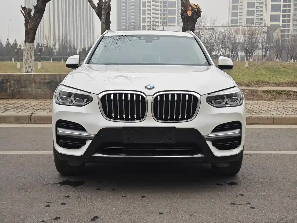 BMW X3 2021 из CN, фото 6