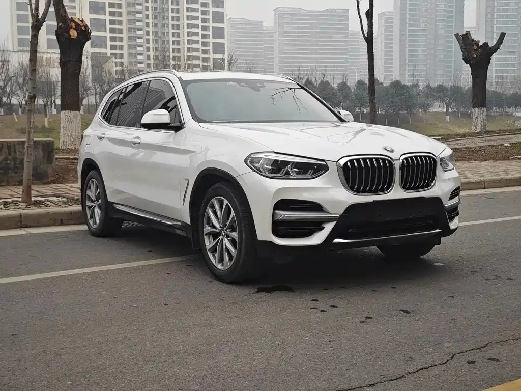 BMW X3 2021 из CN, фото 10