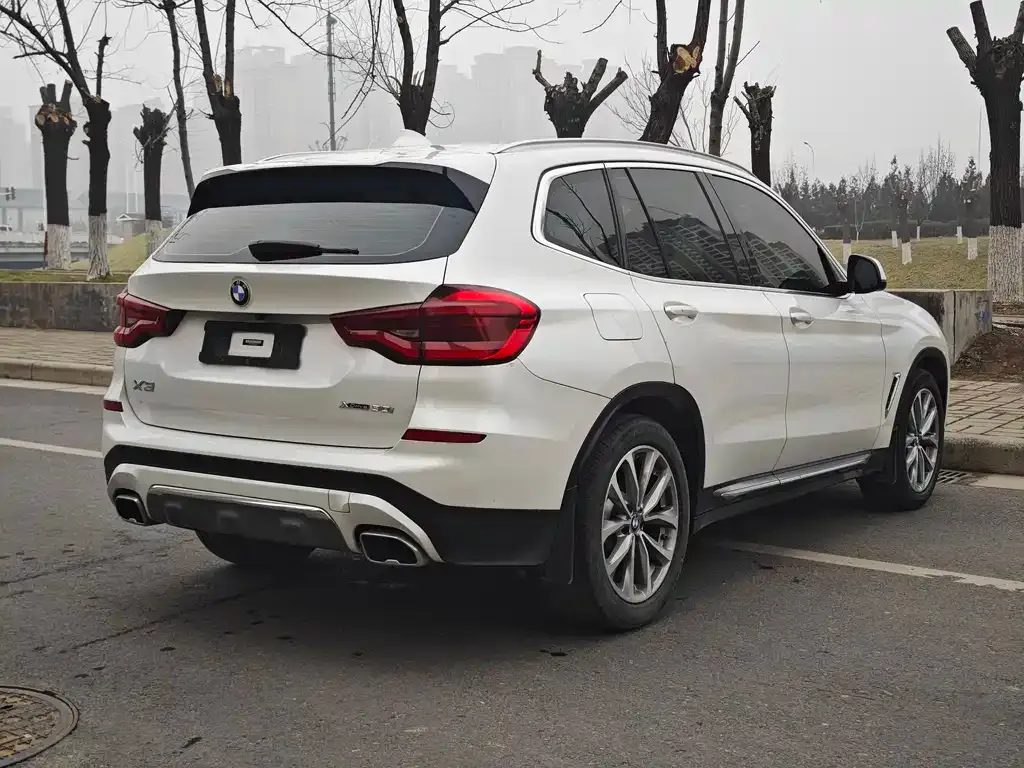 BMW X3 2021 из CN, фото 8