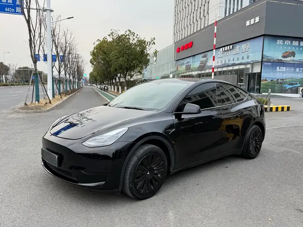 Tesla Model Y 2022 из CN, фото 1