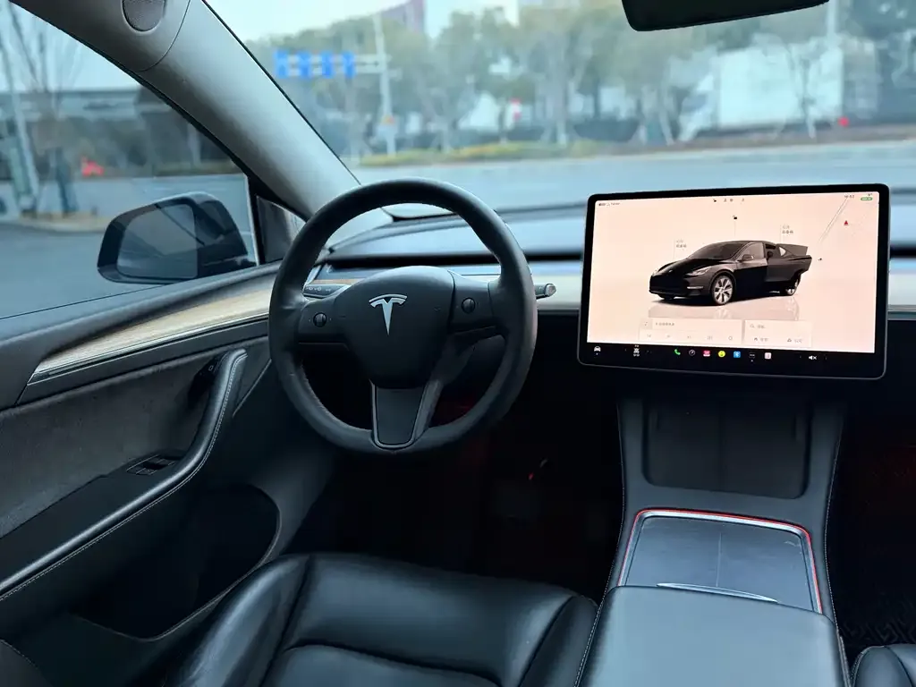 Tesla Model Y 2022 из CN, фото 4