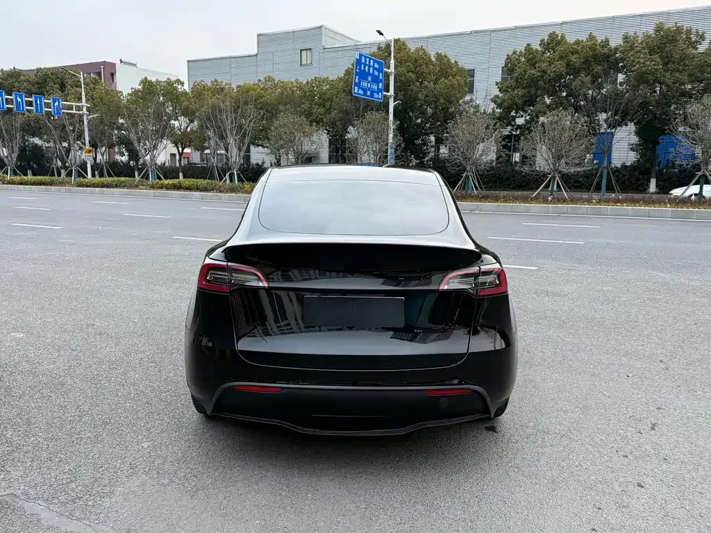 Tesla Model Y 2022 из CN, фото 6