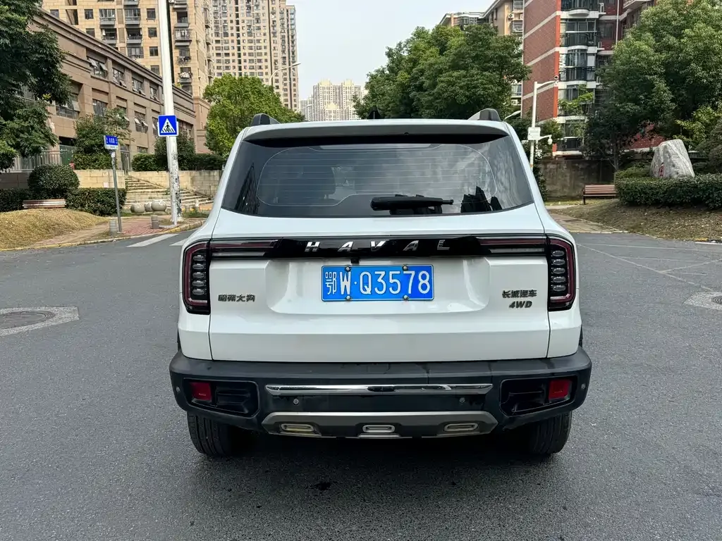 Haval Big Dog — фото 9