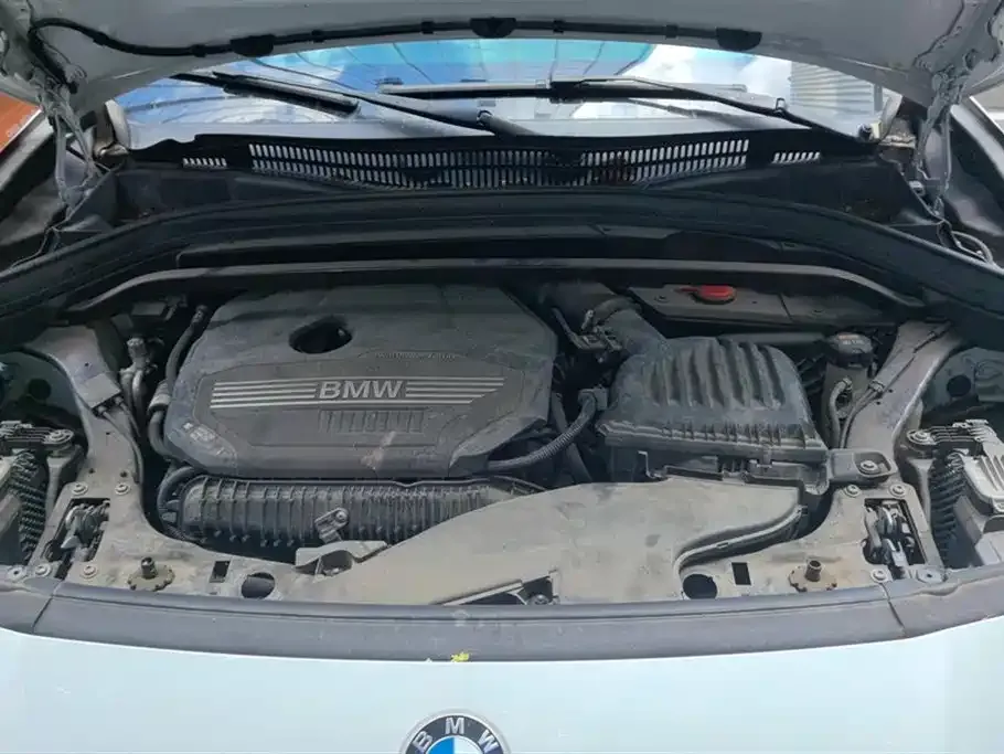 BMW X2 2021 из CN, фото 9