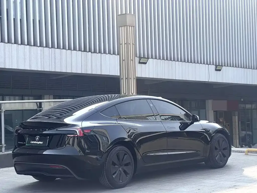 Tesla Model 3 2025 из CN, фото 4