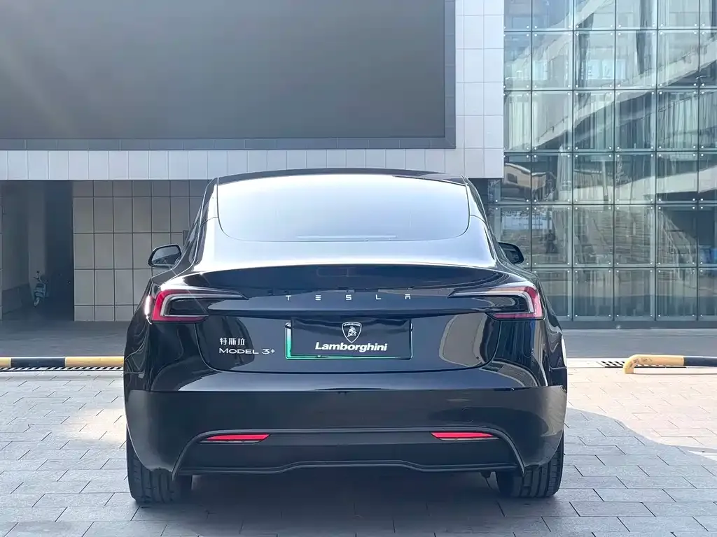 Tesla Model 3 2025 из CN, фото 6