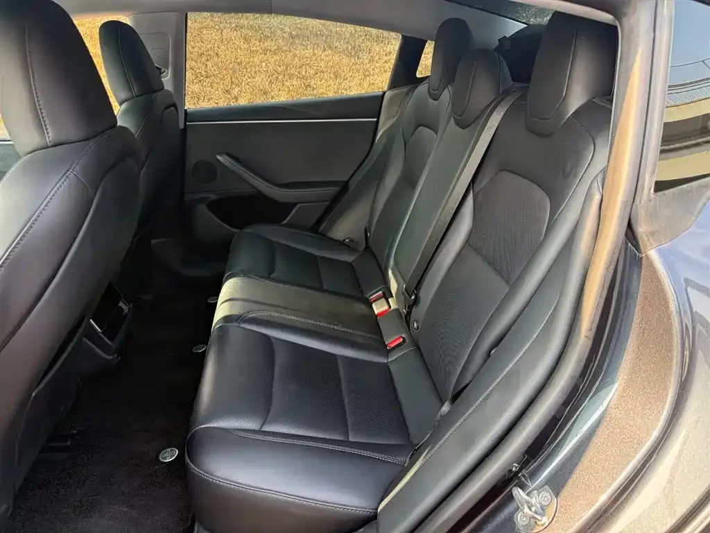 Tesla Model 3 2024 из CN, фото 5