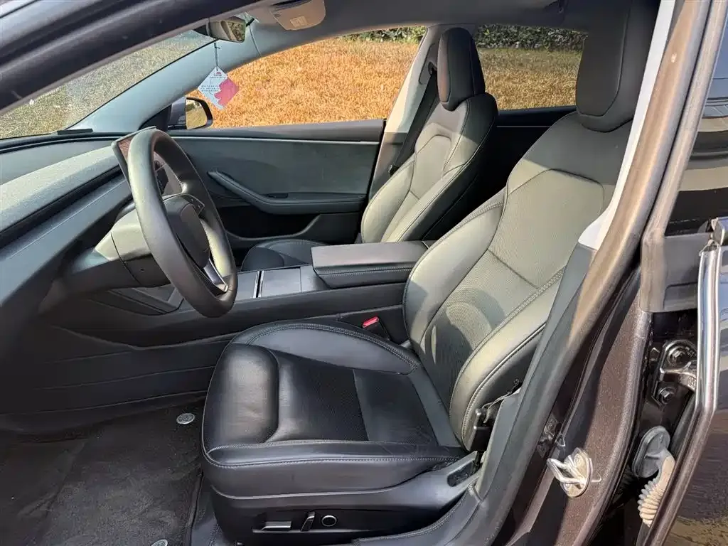 Tesla Model 3 2024 из CN, фото 4