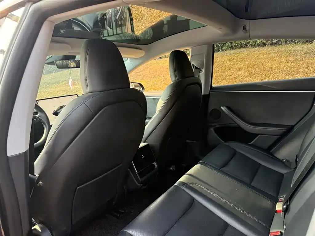 Tesla Model 3 2024 из CN, фото 6