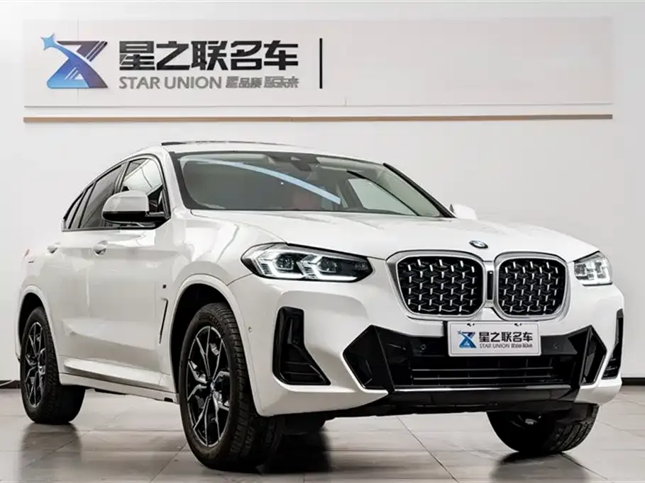 BMW X4 2025 из CN, фото 7
