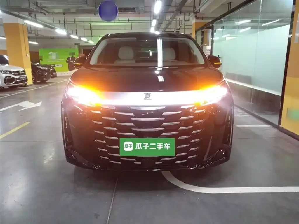 BYD Xia 2025 из CN, фото 5
