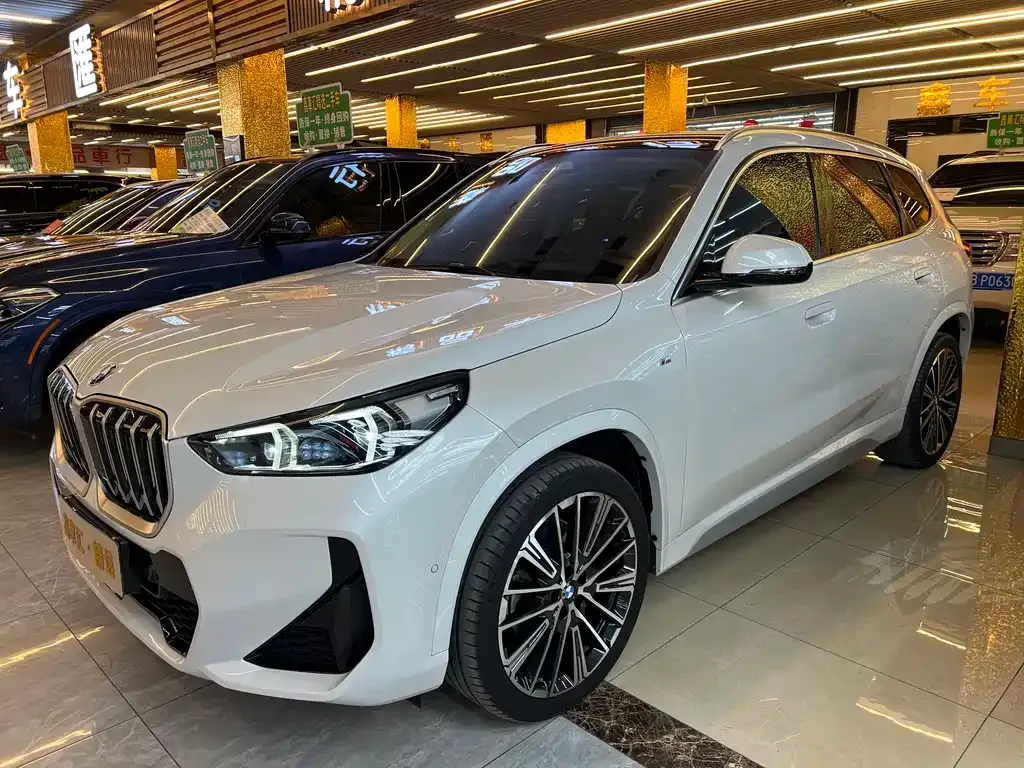 BMW X1 2024 из CN, фото 4