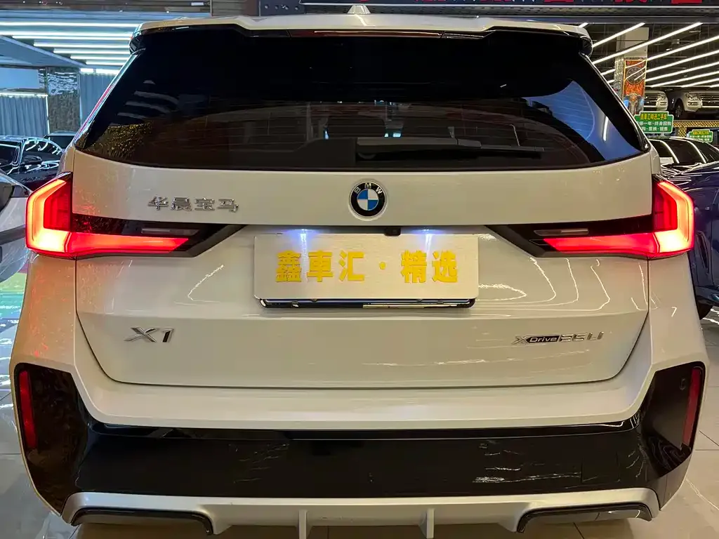 BMW X1 2024 из CN, фото 6
