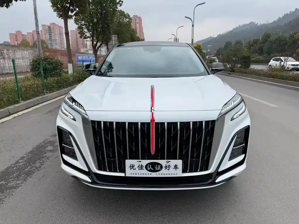 Hongqi HS3 2024 из CN, фото 10