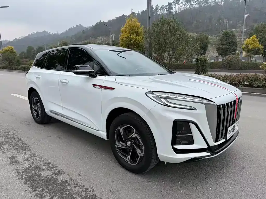 Hongqi HS3 2024 из CN, фото 9