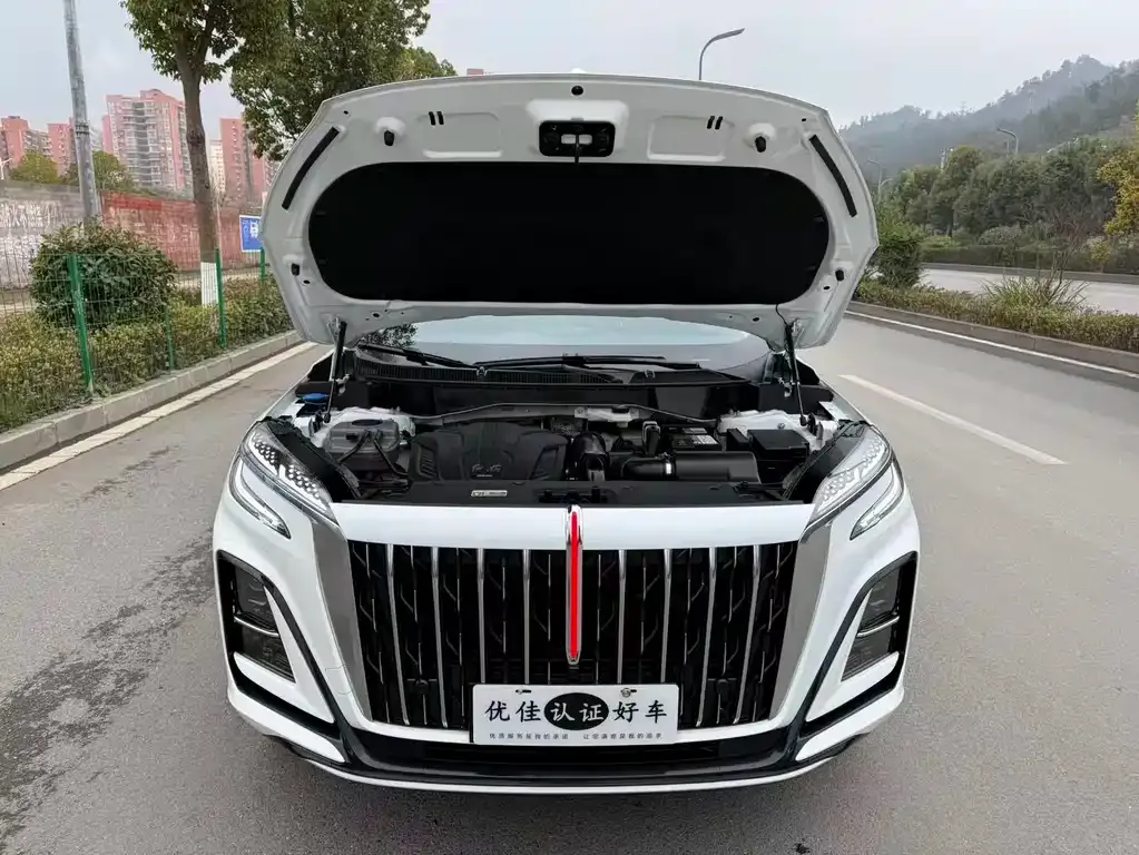 Hongqi HS3 2024 из CN, фото 5