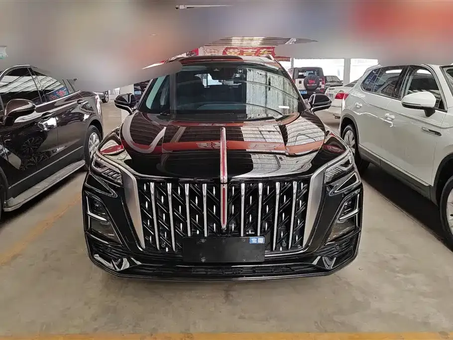 Hongqi HS5 2024 из CN, фото 8