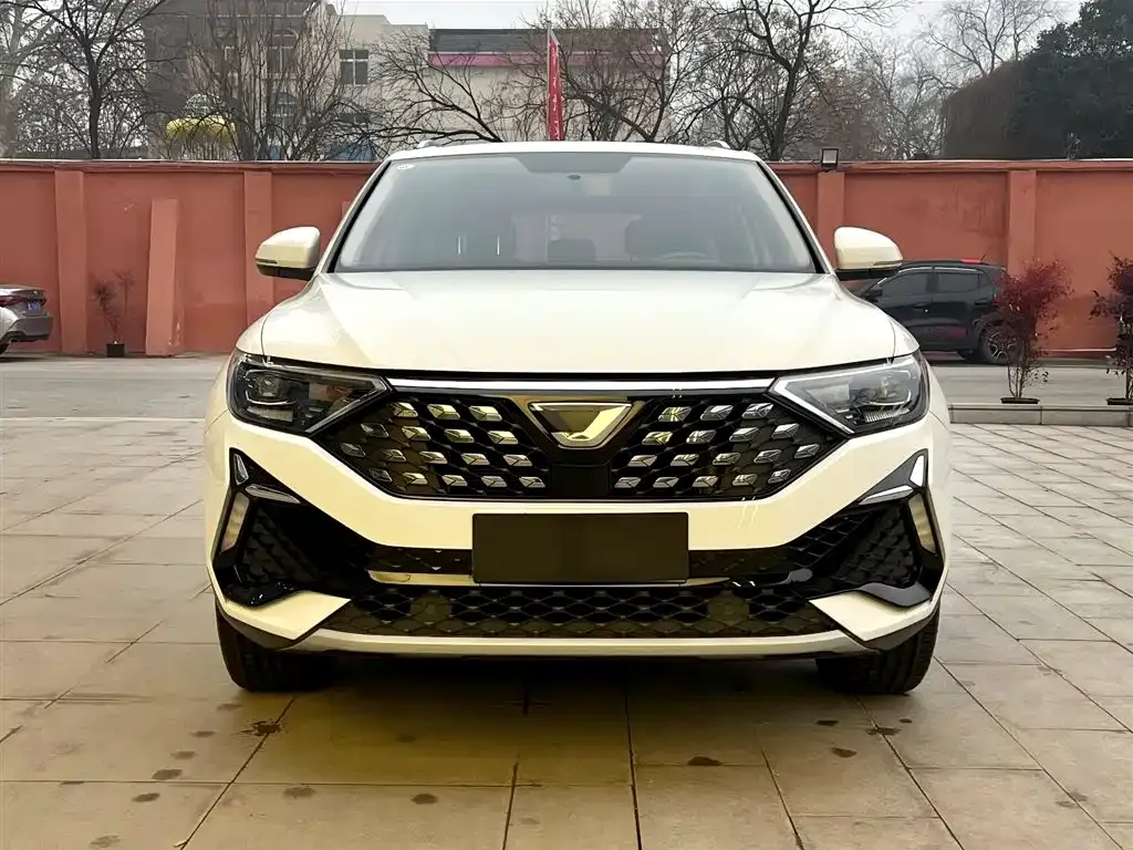 Jetta VS5 2023 из CN, фото 8