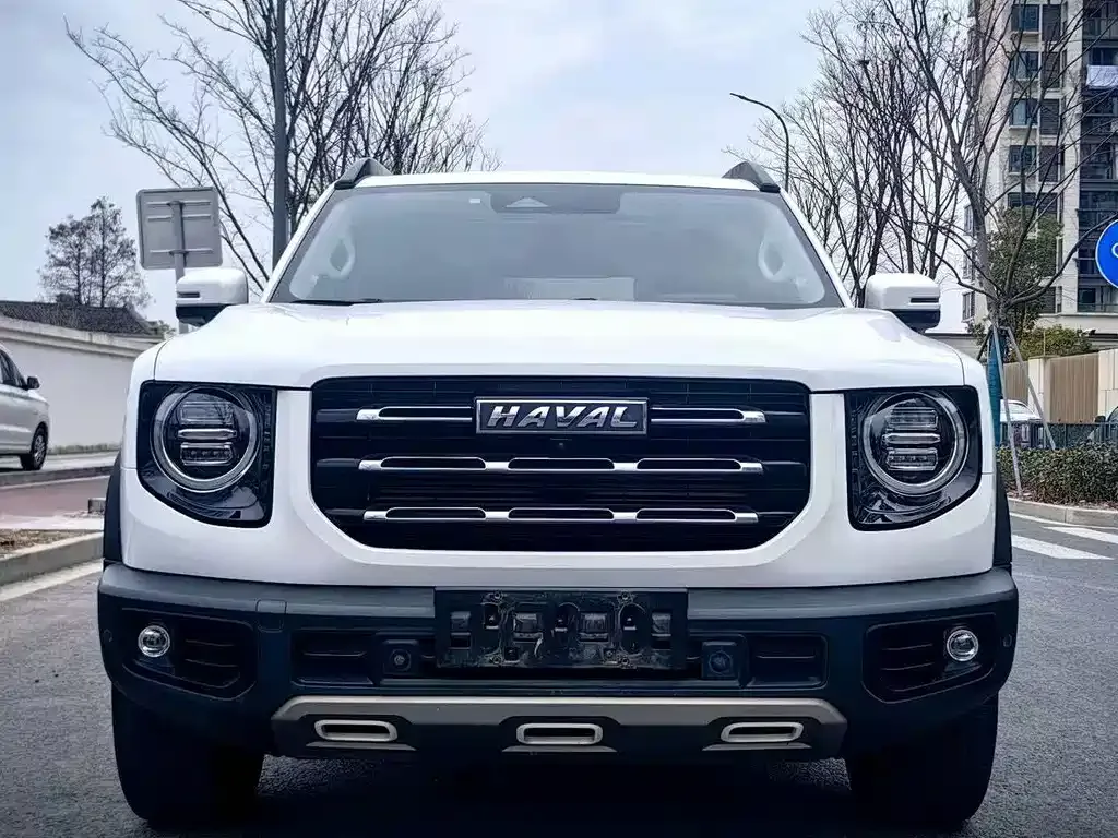 Haval Big Dog 2021 из CN, фото 9