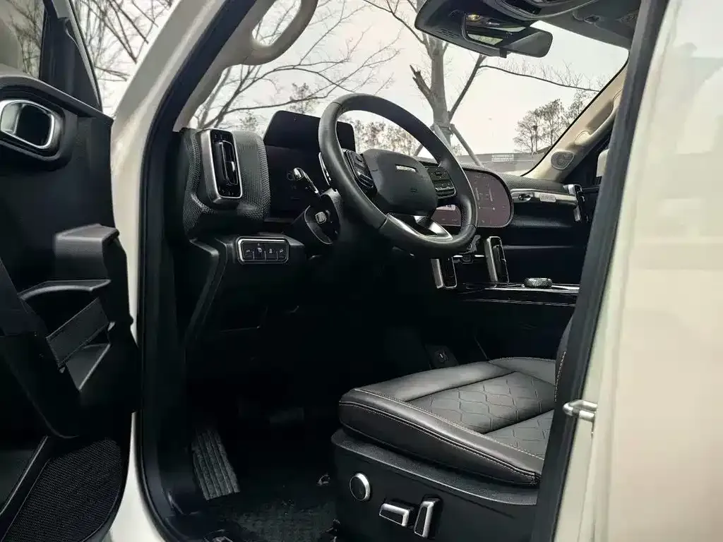 Haval Big Dog 2021 из CN, фото 6