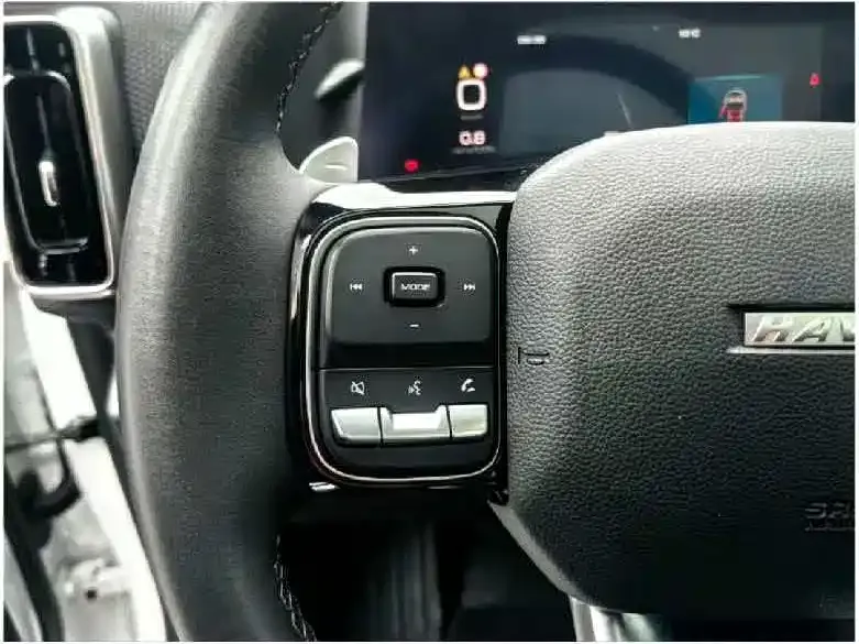 Haval Big Dog 2021 из CN, фото 3
