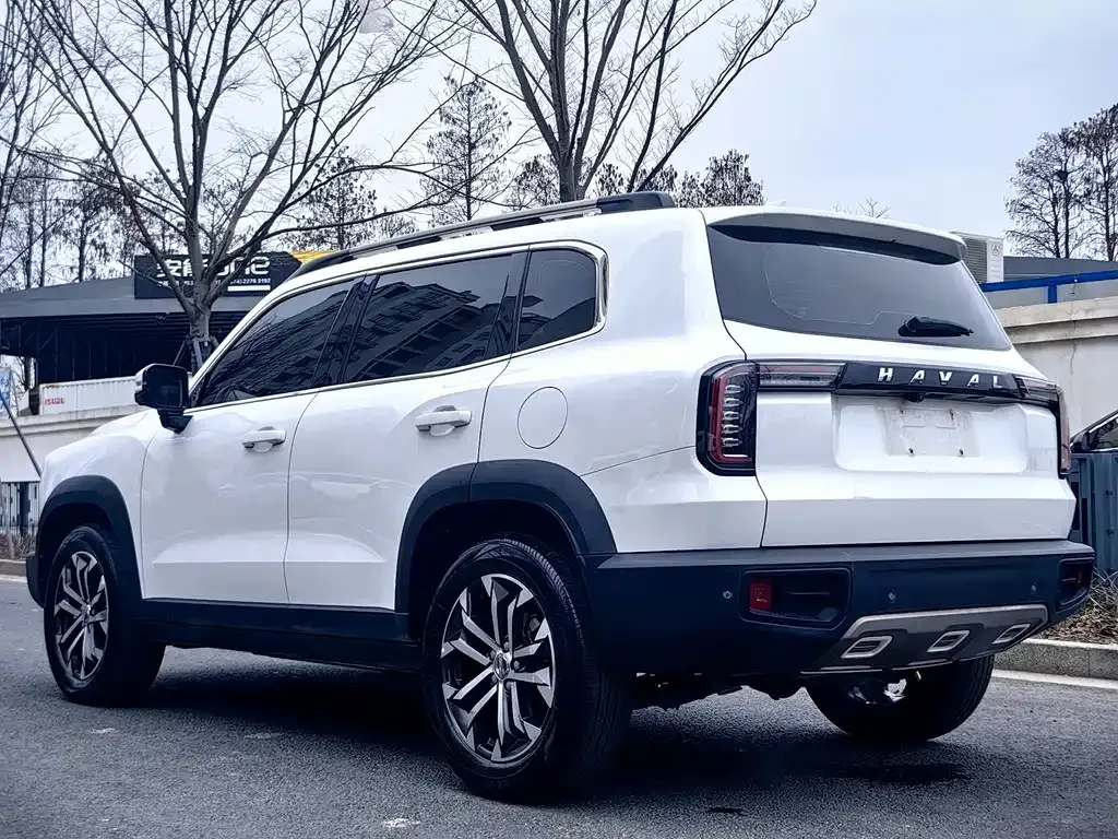 Haval Big Dog 2021 из CN, фото 5