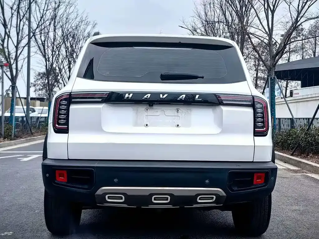 Haval Big Dog 2021 из CN, фото 4