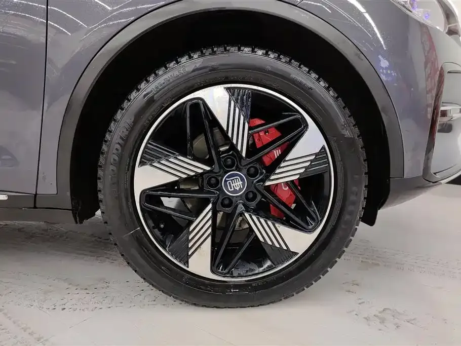 BYD Tang New Energy 2024 из CN, фото 2